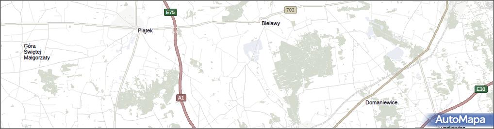 Stary Waliszew